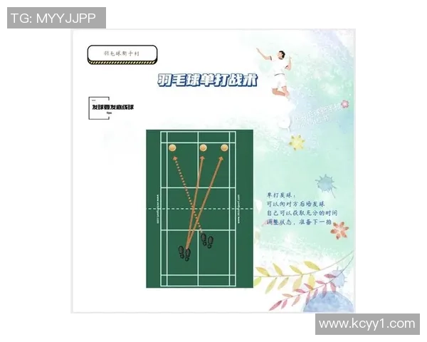 南京羽毛球队与广州羽毛球队赛后战术分析与总结探讨